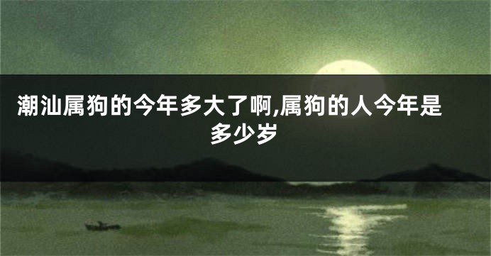 潮汕属狗的今年多大了啊,属狗的人今年是多少岁