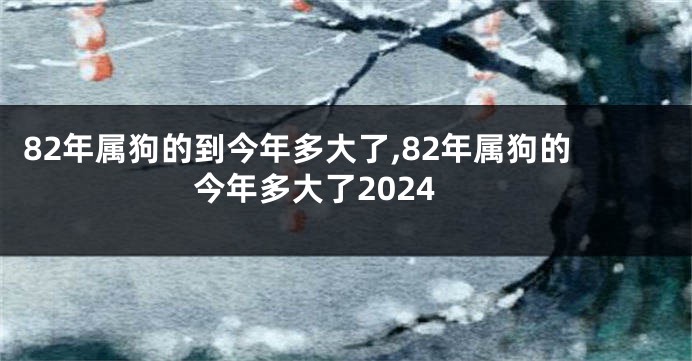 82年属狗的到今年多大了,82年属狗的今年多大了2024