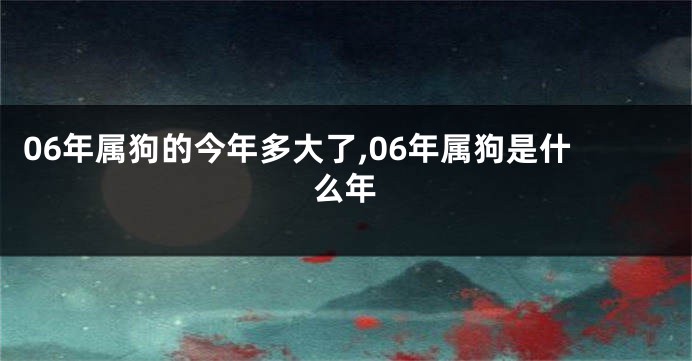 06年属狗的今年多大了,06年属狗是什么年