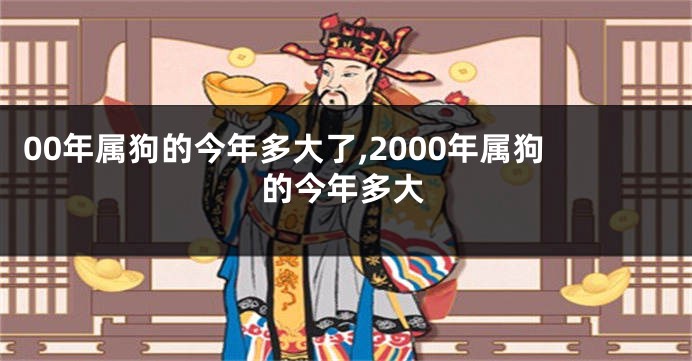 00年属狗的今年多大了,2000年属狗的今年多大