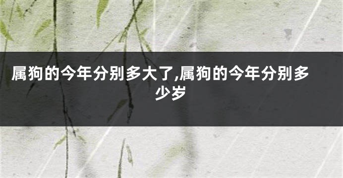 属狗的今年分别多大了,属狗的今年分别多少岁