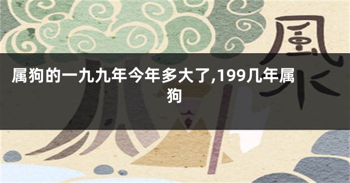 属狗的一九九年今年多大了,199几年属狗