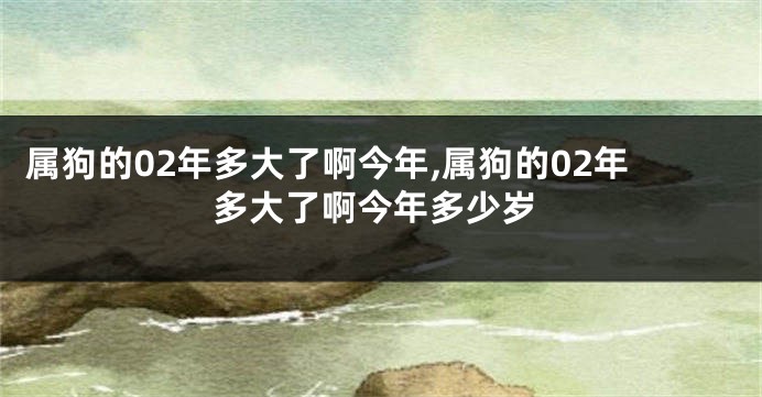 属狗的02年多大了啊今年,属狗的02年多大了啊今年多少岁