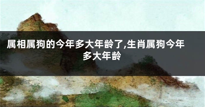 属相属狗的今年多大年龄了,生肖属狗今年多大年龄