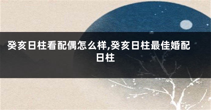 癸亥日柱看配偶怎么样,癸亥日柱最佳婚配日柱