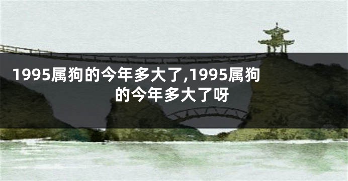 1995属狗的今年多大了,1995属狗的今年多大了呀