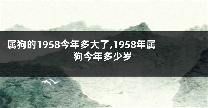 属狗的1958今年多大了,1958年属狗今年多少岁