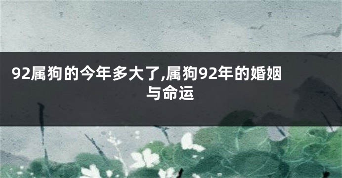 92属狗的今年多大了,属狗92年的婚姻与命运