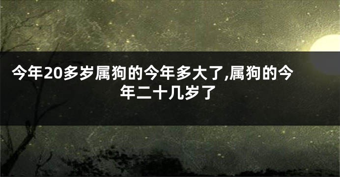 今年20多岁属狗的今年多大了,属狗的今年二十几岁了