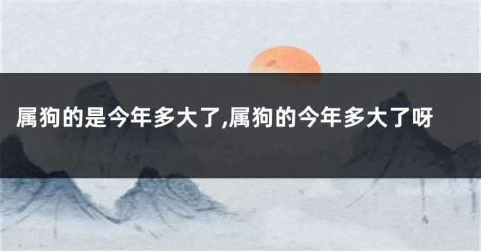 属狗的是今年多大了,属狗的今年多大了呀