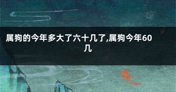 属狗的今年多大了六十几了,属狗今年60几