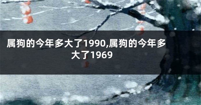 属狗的今年多大了1990,属狗的今年多大了1969