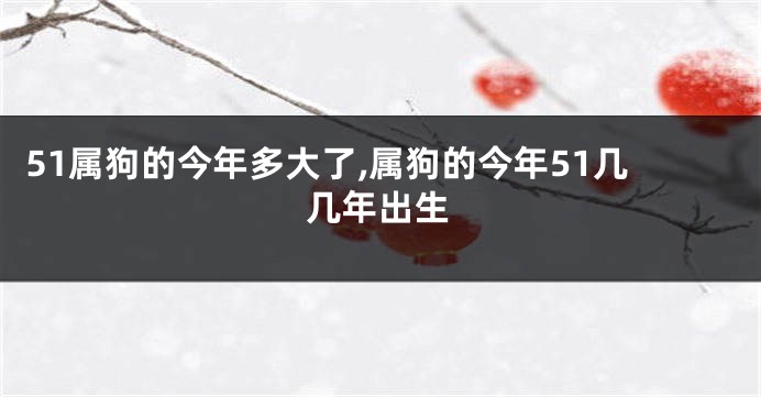 51属狗的今年多大了,属狗的今年51几几年出生