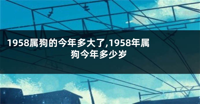 1958属狗的今年多大了,1958年属狗今年多少岁