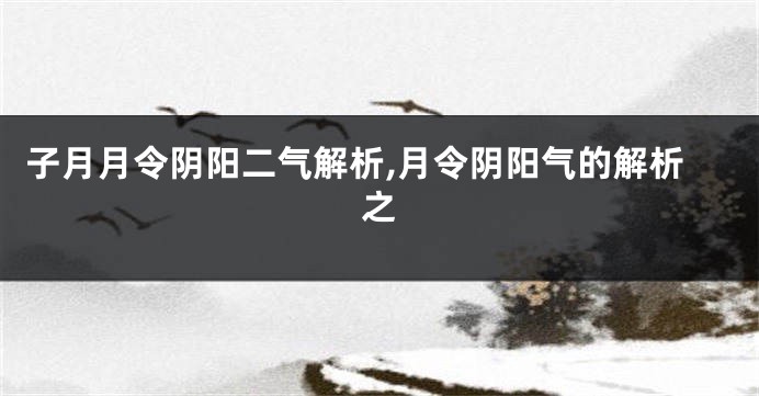 子月月令阴阳二气解析,月令阴阳气的解析之