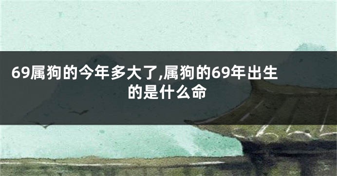 69属狗的今年多大了,属狗的69年出生的是什么命