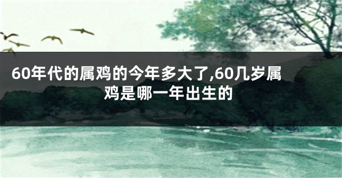 60年代的属鸡的今年多大了,60几岁属鸡是哪一年出生的