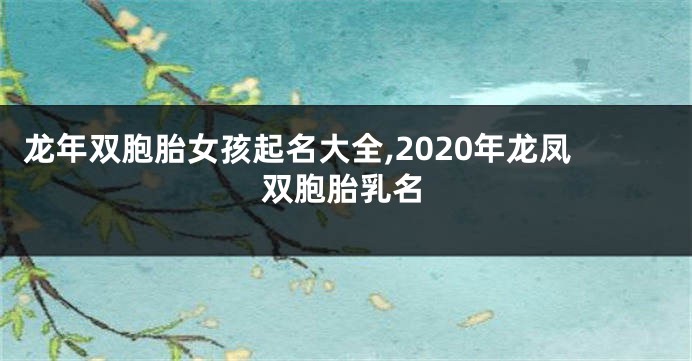 龙年双胞胎女孩起名大全,2020年龙凤双胞胎乳名