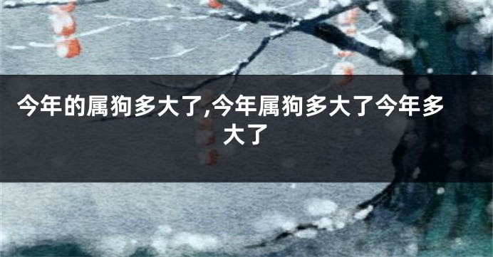 今年的属狗多大了,今年属狗多大了今年多大了