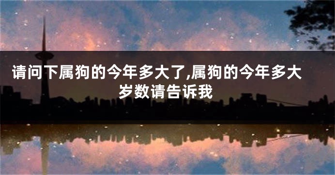 请问下属狗的今年多大了,属狗的今年多大岁数请告诉我