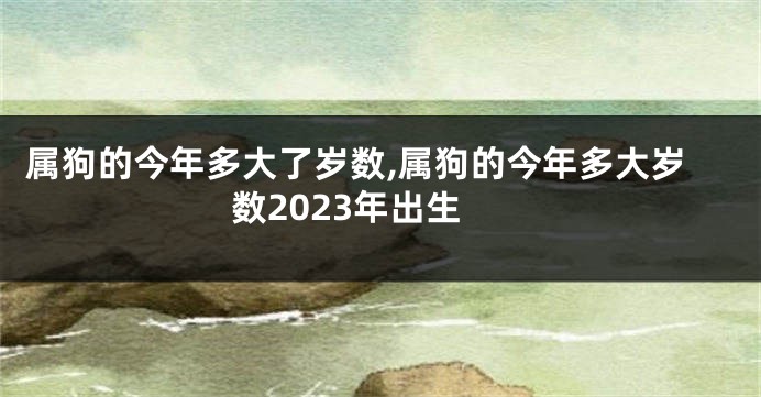 属狗的今年多大了岁数,属狗的今年多大岁数2023年出生