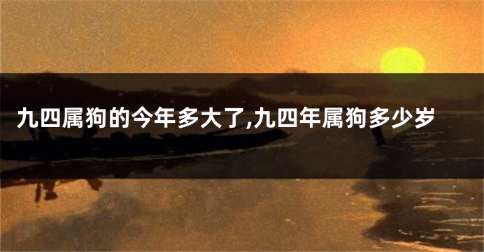 九四属狗的今年多大了,九四年属狗多少岁