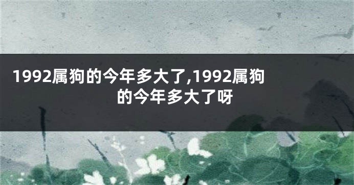 1992属狗的今年多大了,1992属狗的今年多大了呀