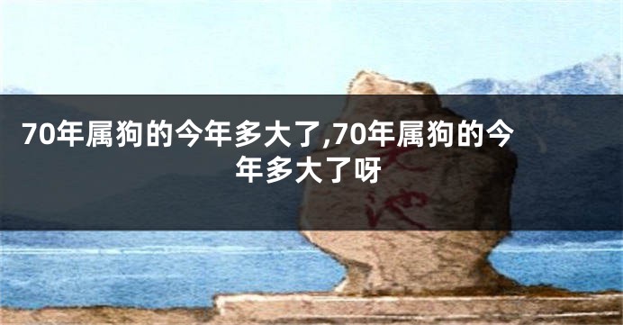 70年属狗的今年多大了,70年属狗的今年多大了呀