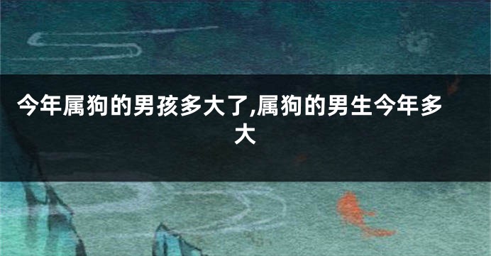 今年属狗的男孩多大了,属狗的男生今年多大