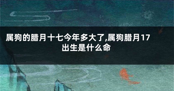 属狗的腊月十七今年多大了,属狗腊月17出生是什么命