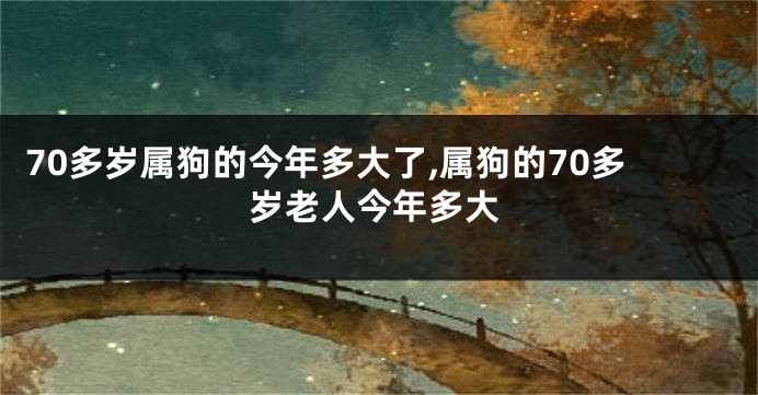 70多岁属狗的今年多大了,属狗的70多岁老人今年多大