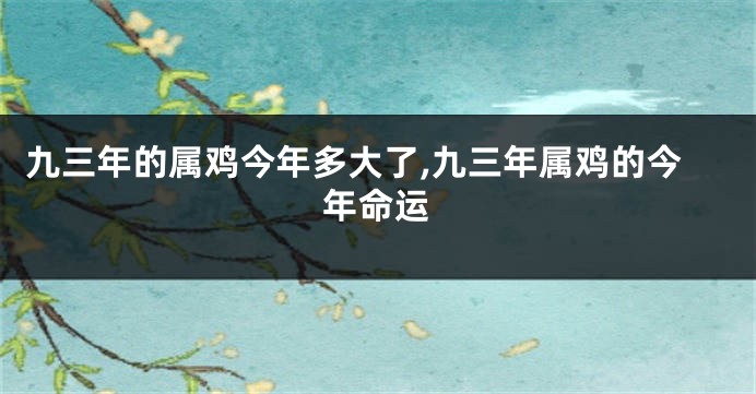 九三年的属鸡今年多大了,九三年属鸡的今年命运