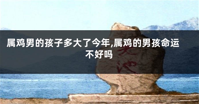 属鸡男的孩子多大了今年,属鸡的男孩命运不好吗