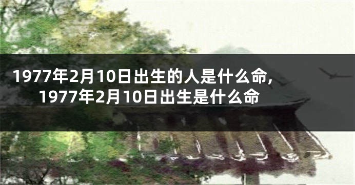 1977年2月10日出生的人是什么命,1977年2月10日出生是什么命