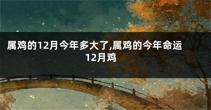 属鸡的12月今年多大了,属鸡的今年命运12月鸡