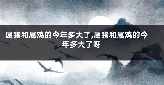 属猪和属鸡的今年多大了,属猪和属鸡的今年多大了呀