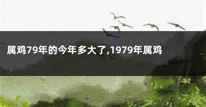 属鸡79年的今年多大了,1979年属鸡