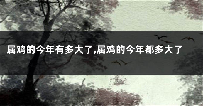 属鸡的今年有多大了,属鸡的今年都多大了