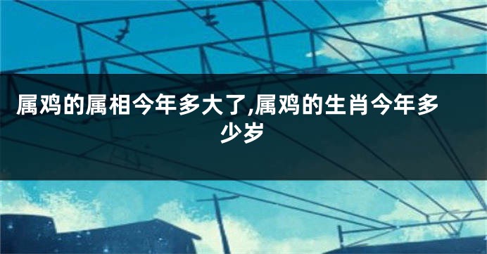 属鸡的属相今年多大了,属鸡的生肖今年多少岁