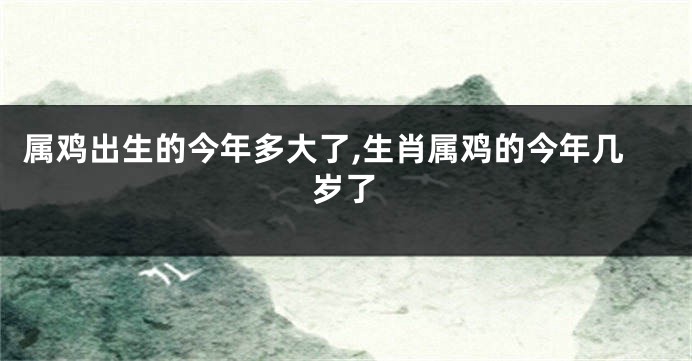 属鸡出生的今年多大了,生肖属鸡的今年几岁了