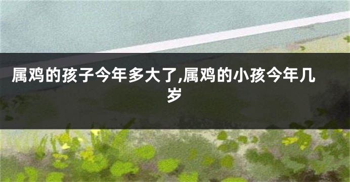 属鸡的孩子今年多大了,属鸡的小孩今年几岁