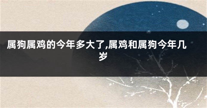 属狗属鸡的今年多大了,属鸡和属狗今年几岁