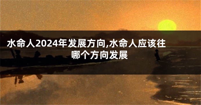 水命人2024年发展方向,水命人应该往哪个方向发展