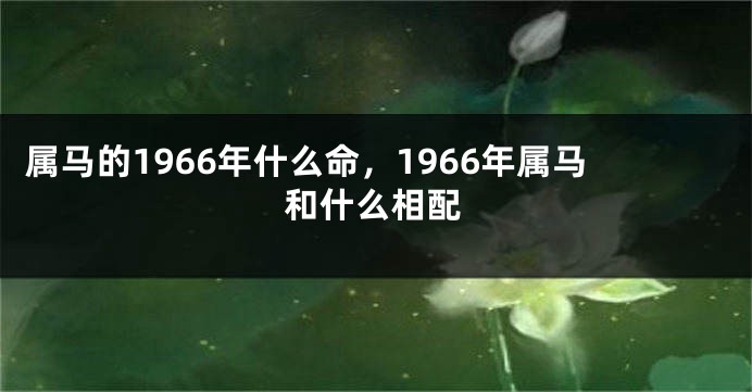 属马的1966年什么命，1966年属马和什么相配