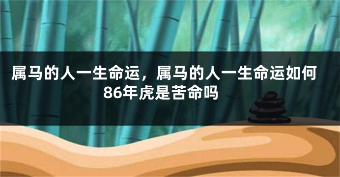 属马的人一生命运，属马的人一生命运如何86年虎是苦命吗