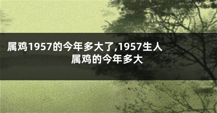 属鸡1957的今年多大了,1957生人属鸡的今年多大