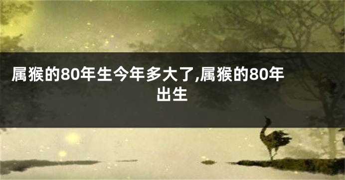 属猴的80年生今年多大了,属猴的80年出生