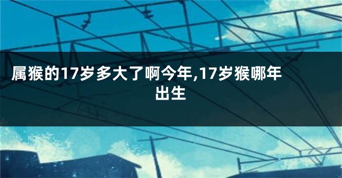 属猴的17岁多大了啊今年,17岁猴哪年出生