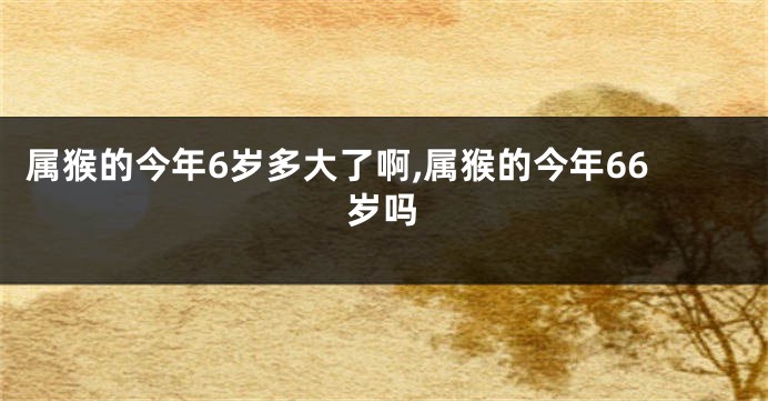 属猴的今年6岁多大了啊,属猴的今年66岁吗