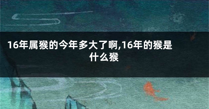 16年属猴的今年多大了啊,16年的猴是什么猴